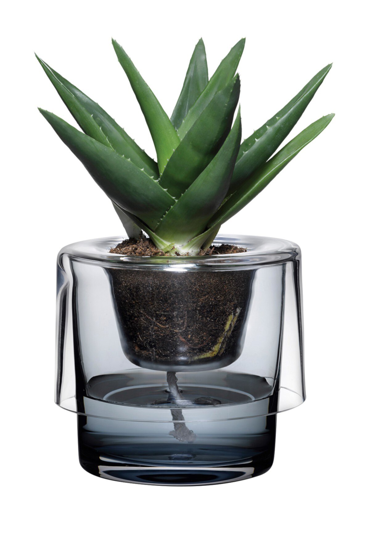 Roots Herb Pot - Clear Top, Blue Bottom Nude Glass