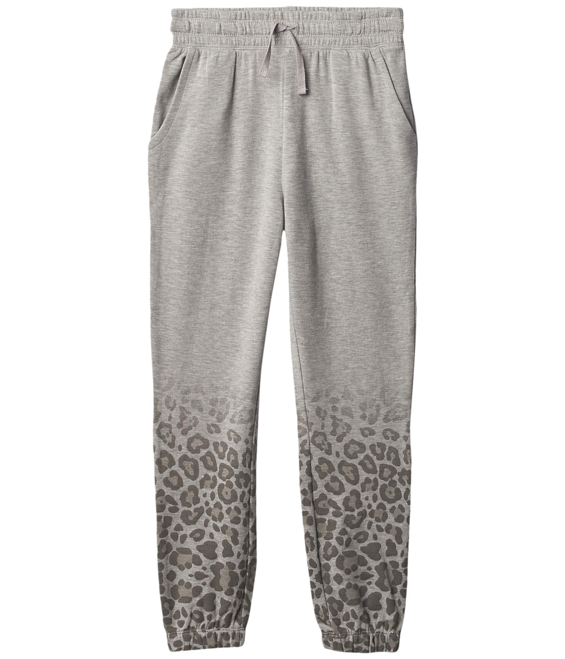 Ombre Leopard Sweatpants (Big Kids) Splendid Littles