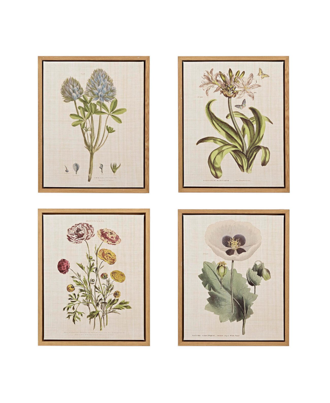 Набор из 4 предметов из льняной ткани в рамке Martha Stewart Herbal Botany Set Martha Stewart