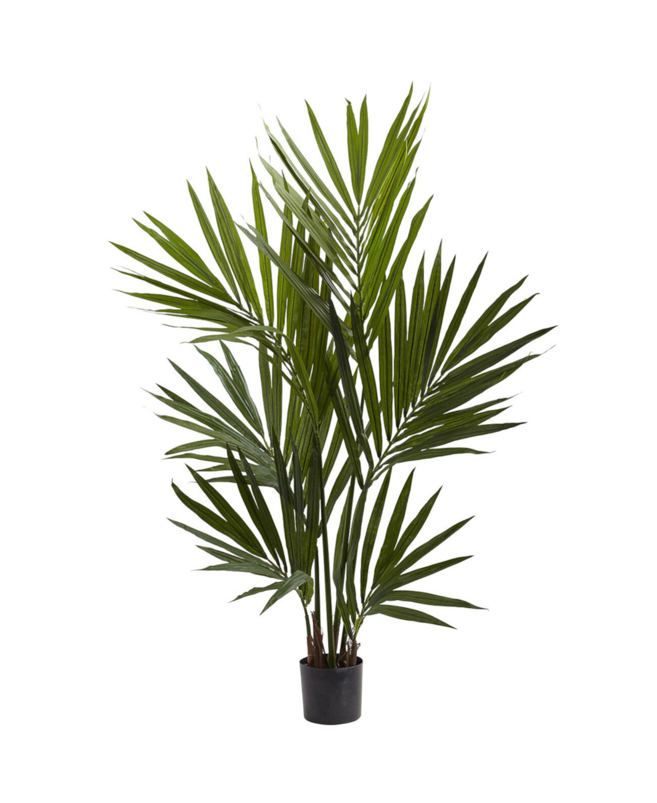 4 'пальмовое шелковое дерево Kentia NEARLY NATURAL