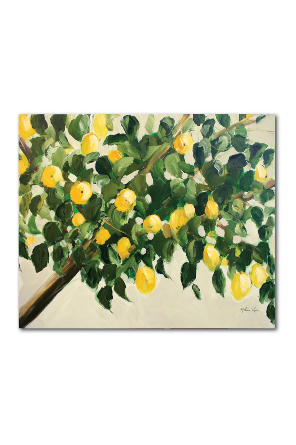 Lemon Tree Gallery Wrapped Canvas Wall Art Courtside Market