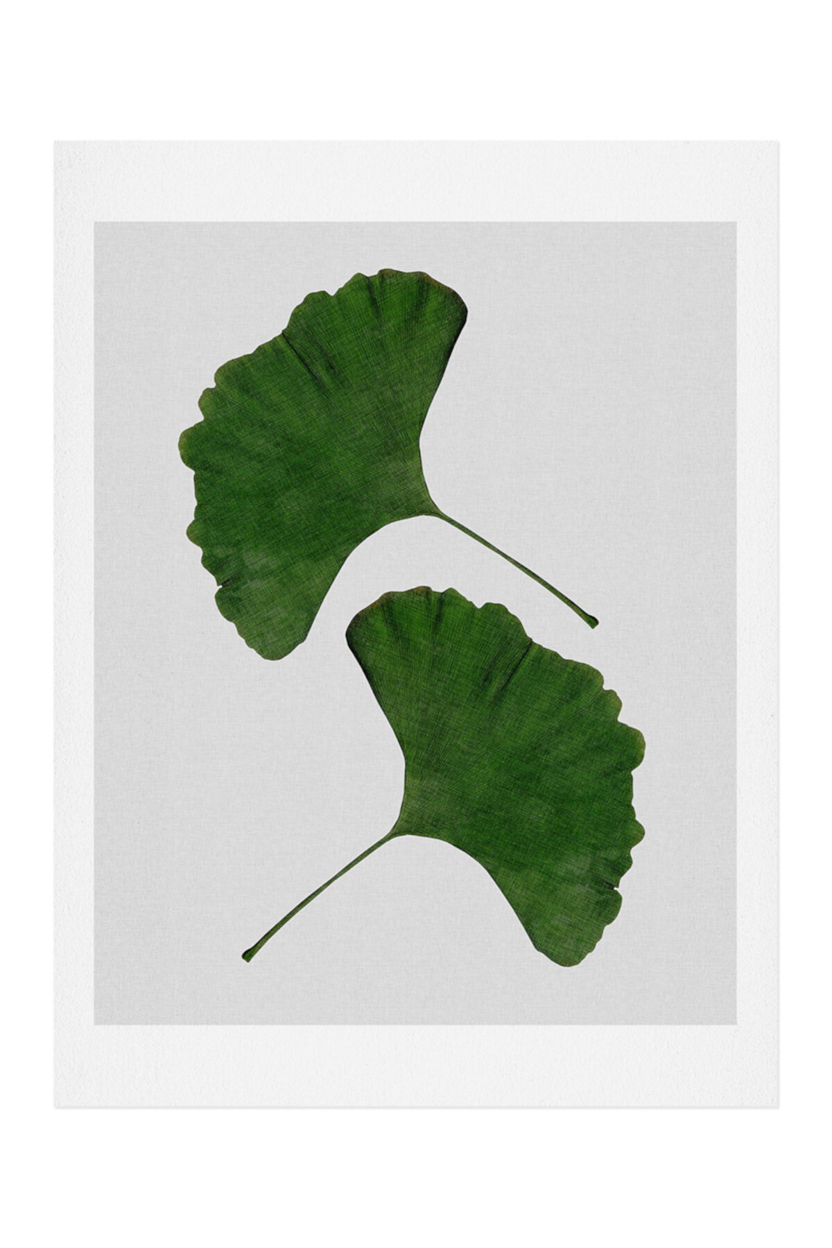 Художественный принт с листьями гинкго Orara Studio Deny Designs