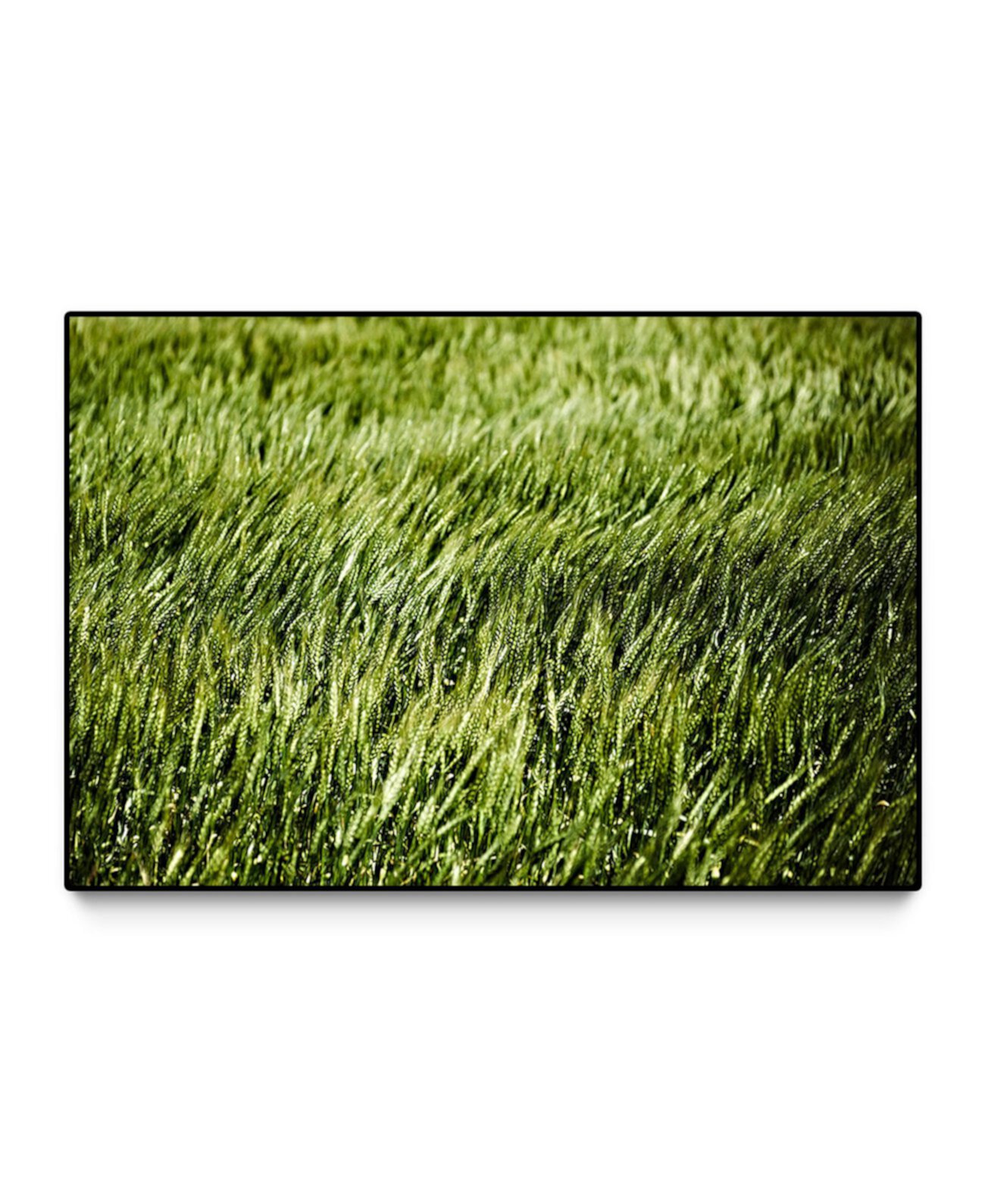 Крупногабаритный холст Grass II в раме, 60 x 40 дюймов Giant Art
