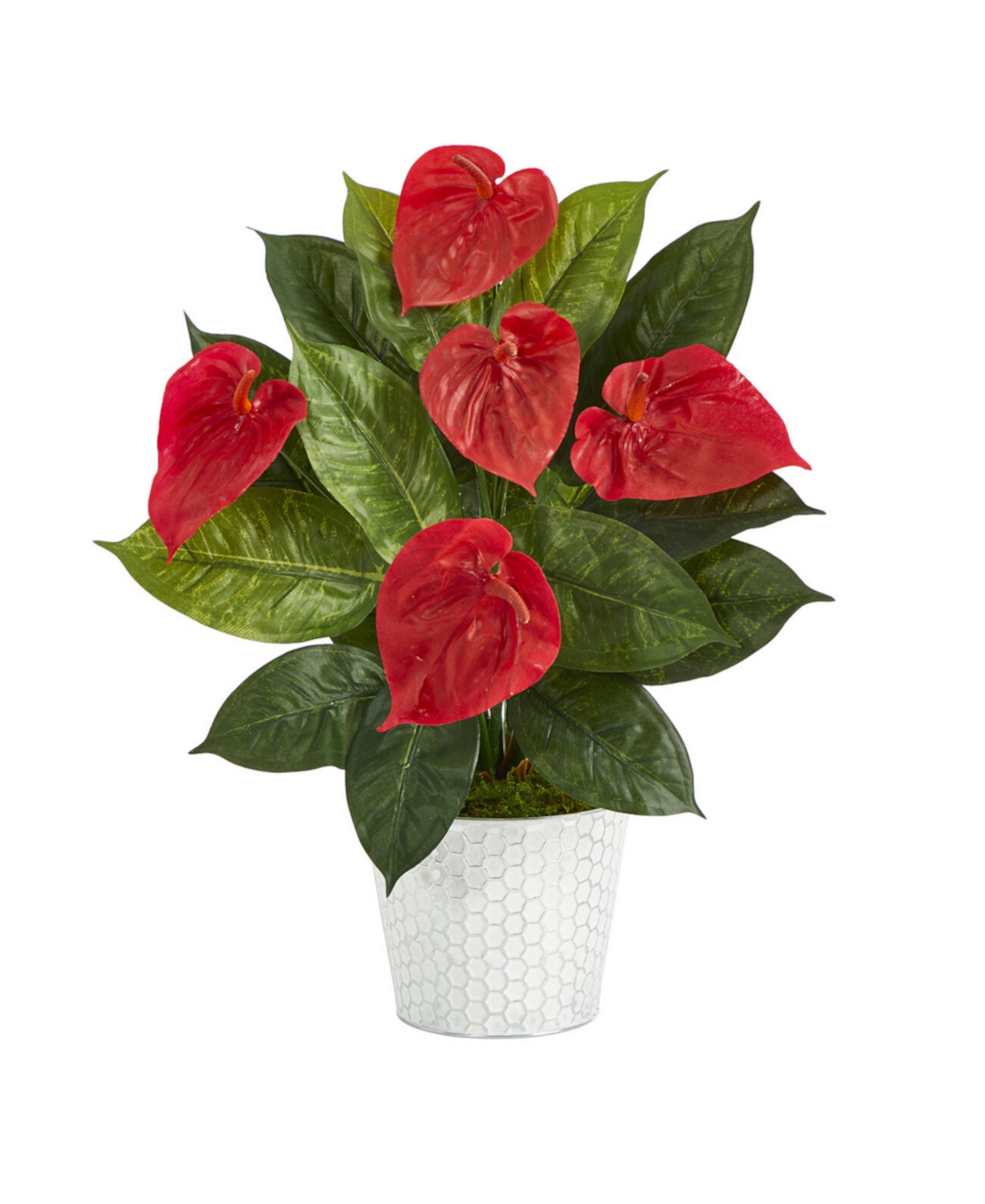 Anthurium Artificial Plant in Embossed Planter NEARLY NATURAL