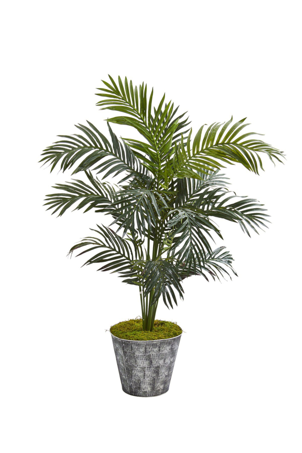 52in. Paradise Palm Artificial Tree in Black Embossed Tin Planter NEARLY NATURAL