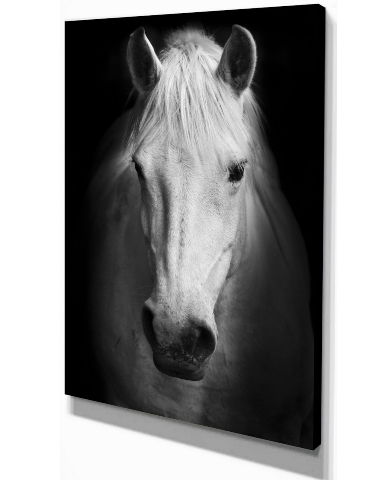 Designart Белая лошадь Черно-белый принт на холсте с животными - 12 "X 20" Design Art