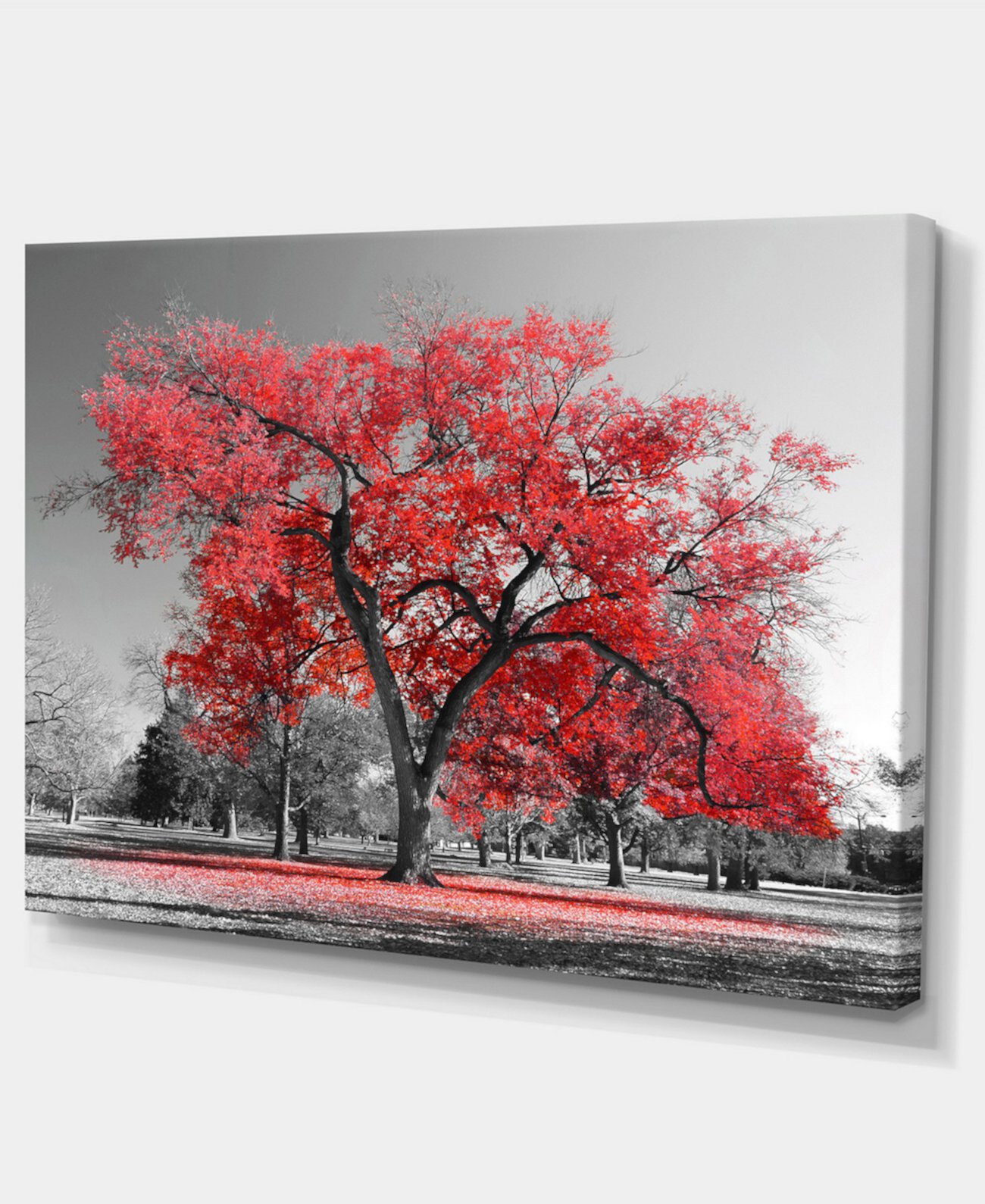 Designart Большое красное дерево в туманный день Пейзаж Картина на холсте - 32 "X 16" Design Art