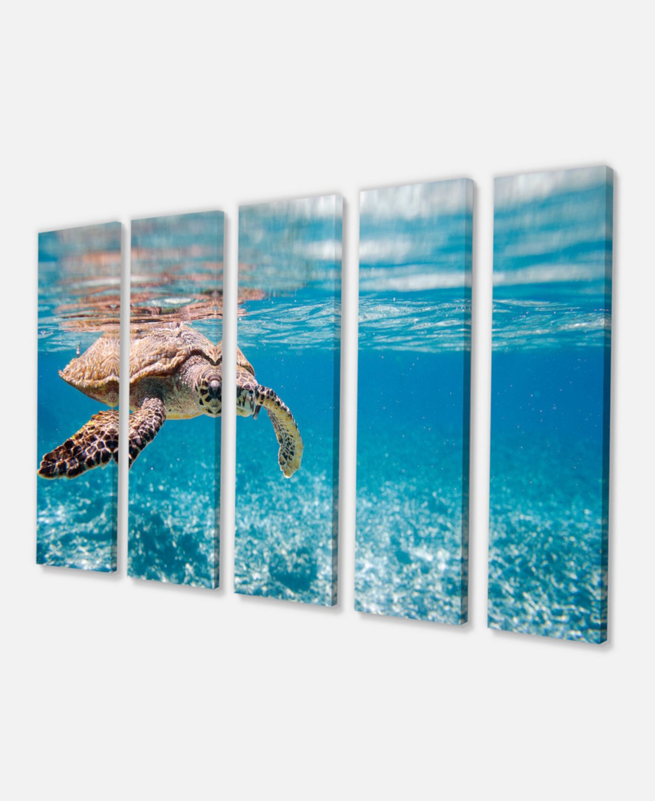 Печать на холсте с большой морской черепахой Designart - 60 "X 28" - 5 панелей Design Art