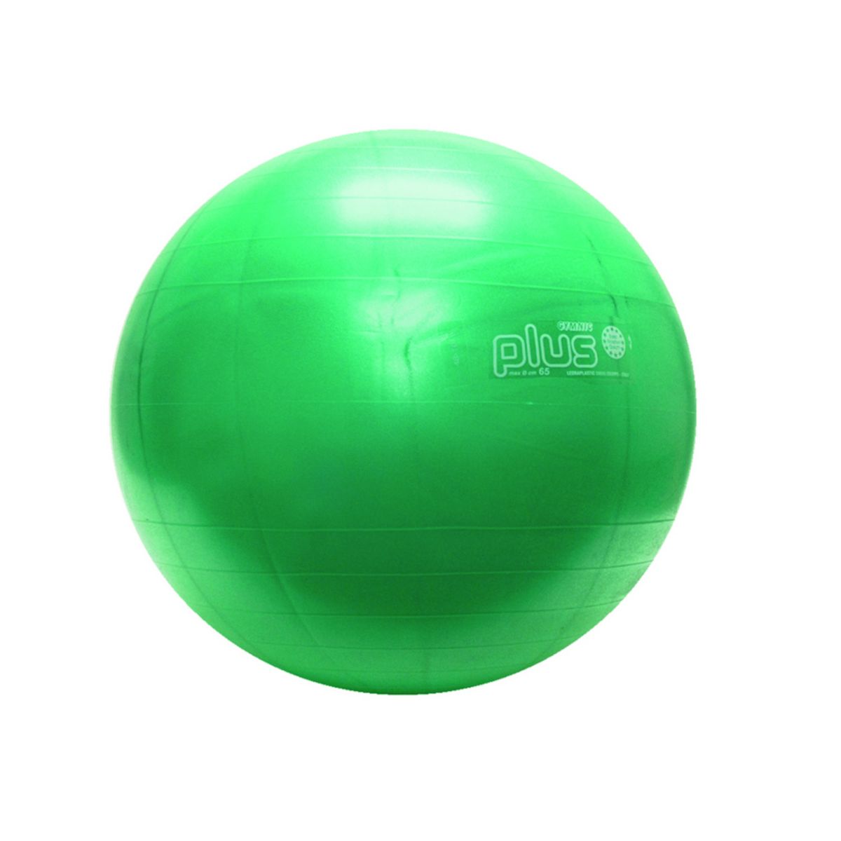 Physiogymnic 30-1702 Надувной мяч для упражнений, 26 дюймов, зеленый Physiogymnic