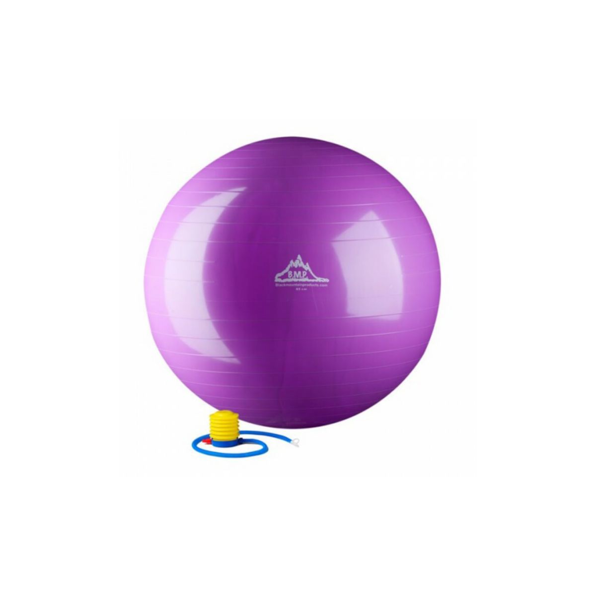55 см. Мяч для стабилизации статической силы, фиолетовый HWR