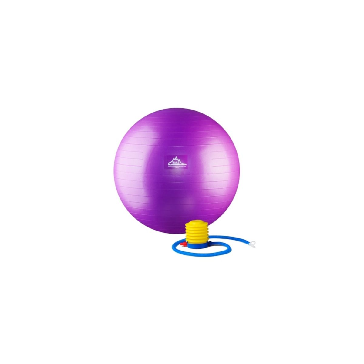 Мяч для устойчивости профессионального уровня 2000 фунтов с помпой, фиолетовый - 55 см HWR