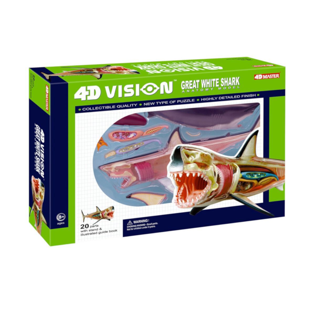 Модель акулы 4D Vision от 4D Master 4D Master