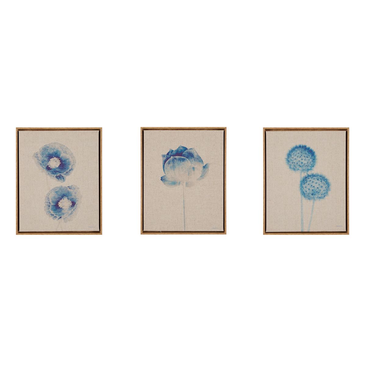 Набор настенных картин из 3 предметов в рамке с синим принтом Madison Park Botanicals Madison Park