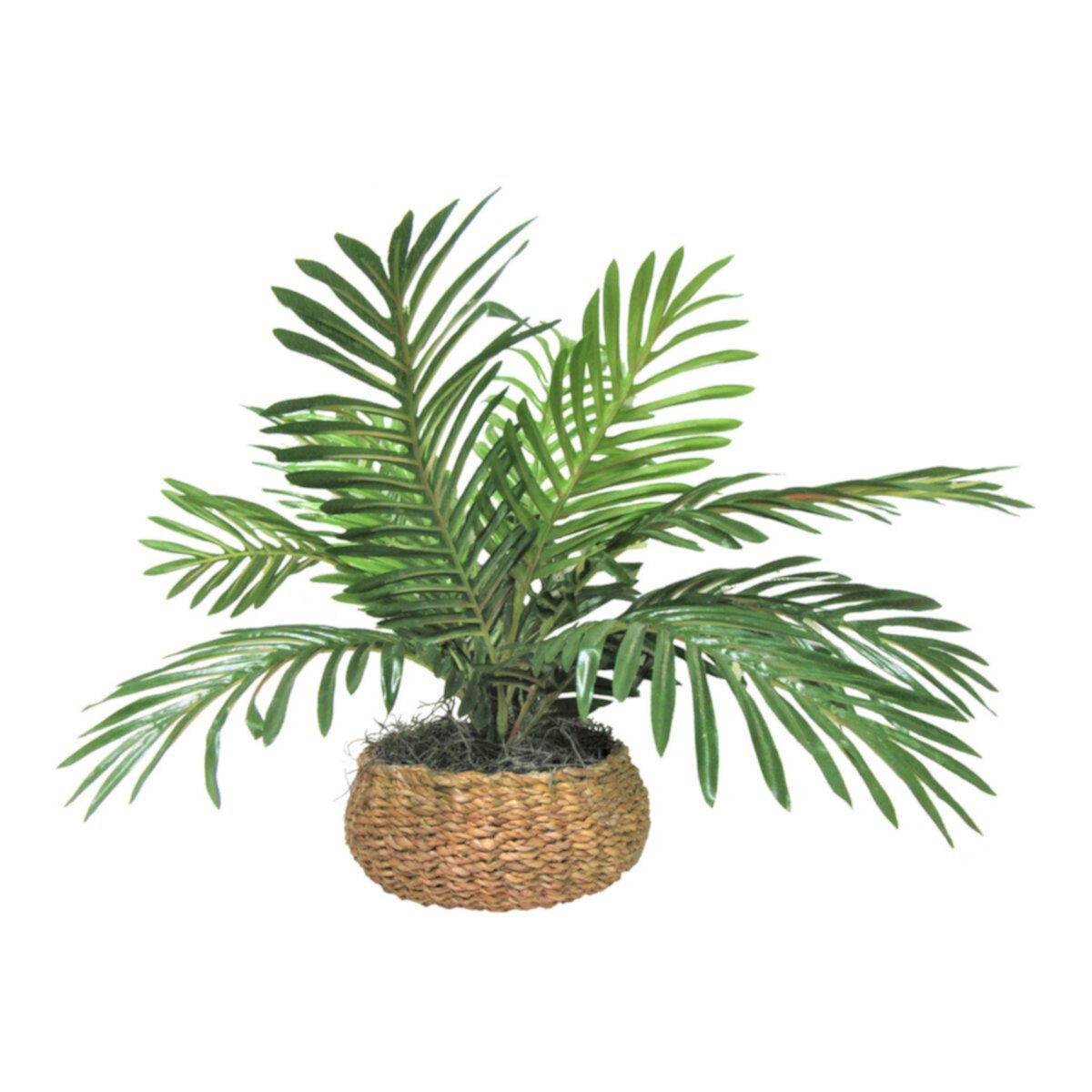 Artificial Palm Plant Designs by Lauren