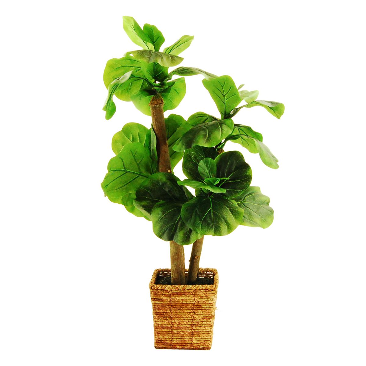 Designs by Lauren Artificial Fiddle Leaf  Fig Tree Designs by Lauren