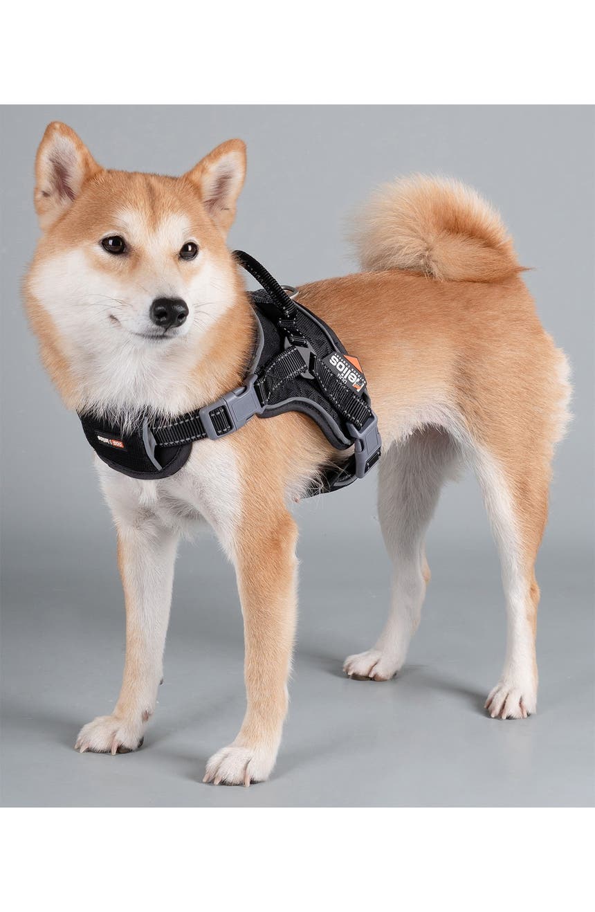 Dog Helios 'Scorpion' Спортивная высокоэффективная шлейка для собак свободного выгула - маленькая Pet Life