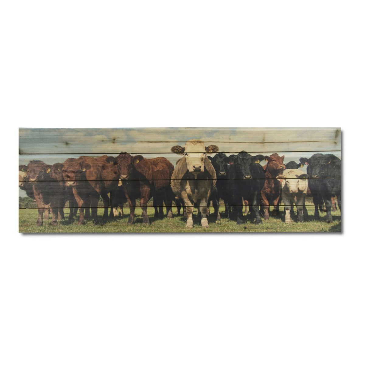 Галерея 57 Cow Herd Wood Wall Art Gallery 57