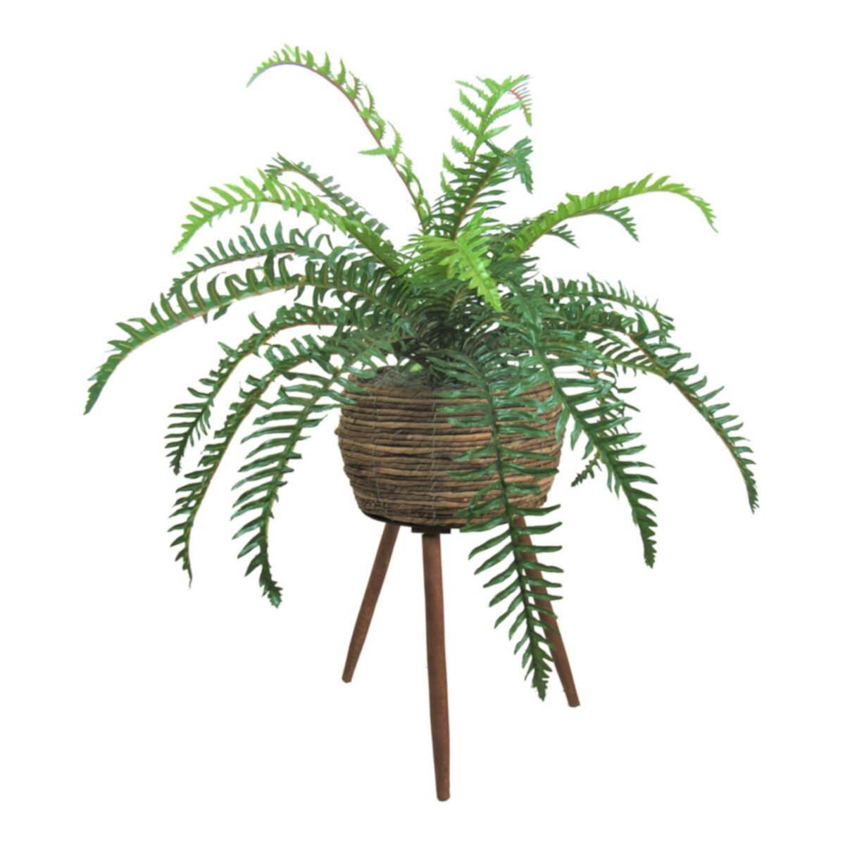 Artificial Fern Plant Designs by Lauren