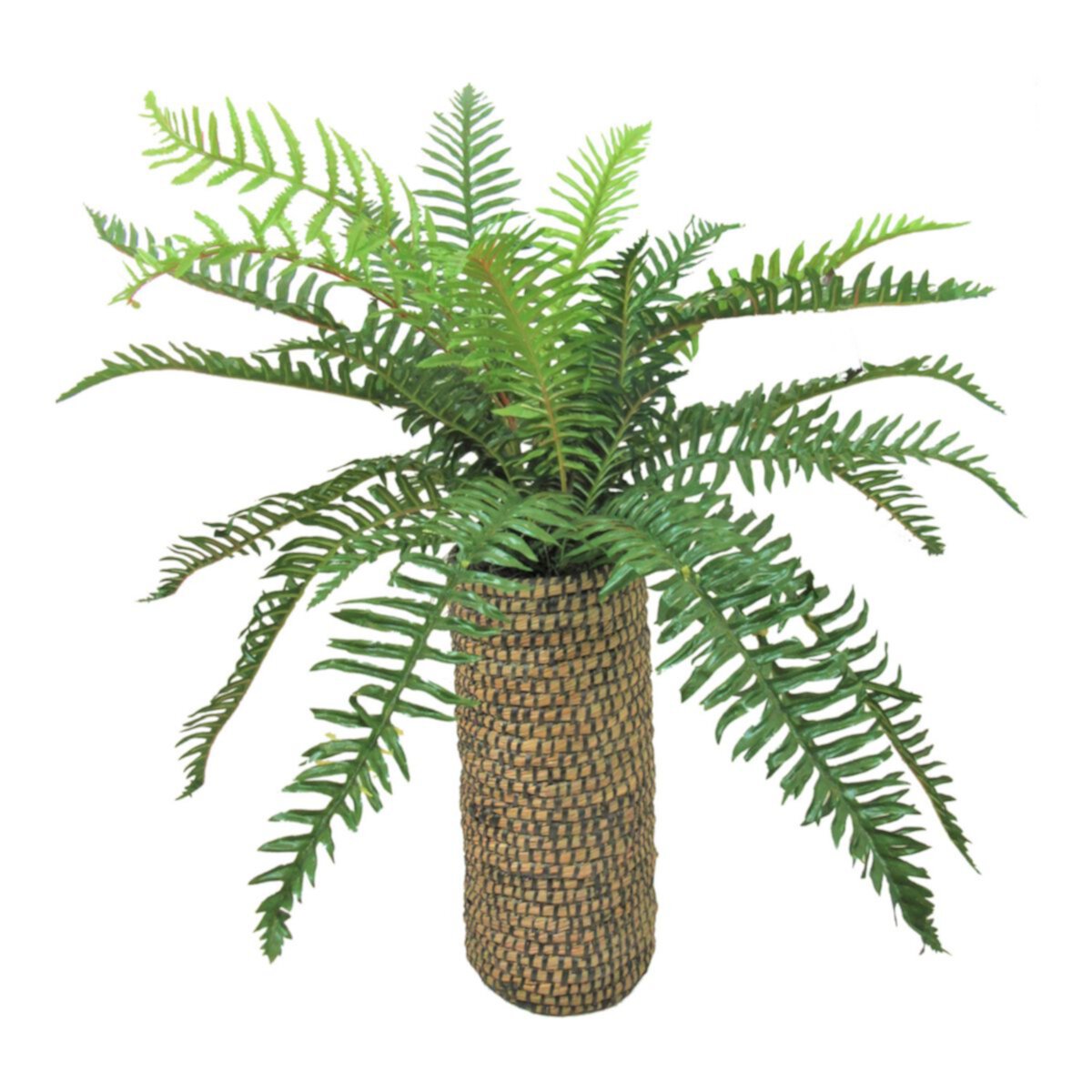 Artificial River Fern Basket Plant Designs by Lauren