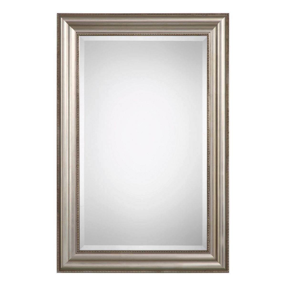 Lightly Antiqued Champagne-Silver Leaf Finish Wall Mirror Unbranded