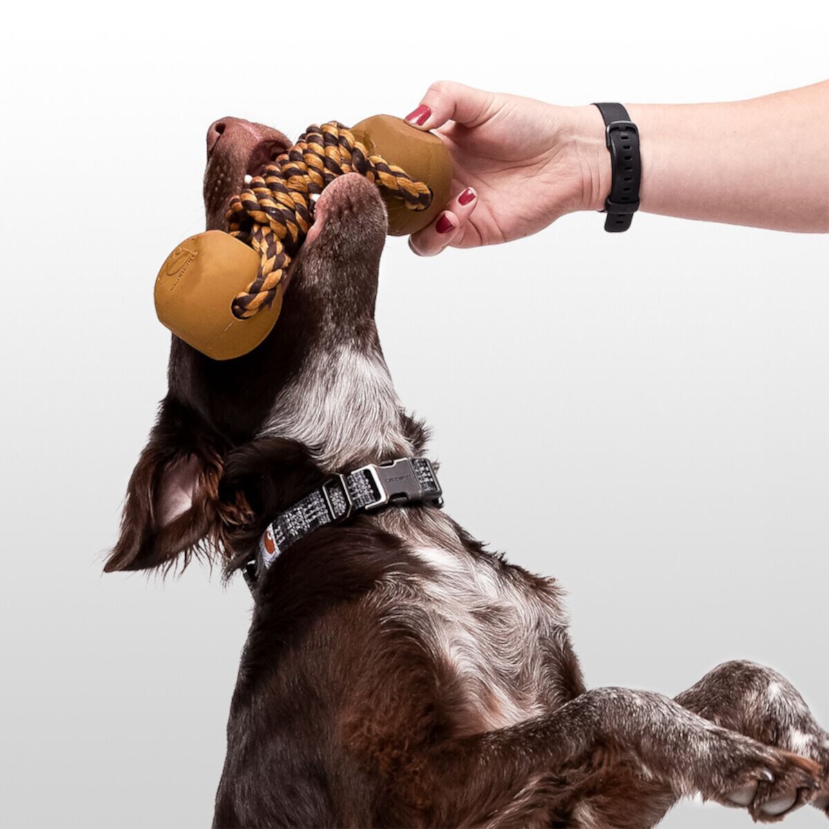 Собачье жевание с веревочной косточкой Carhartt