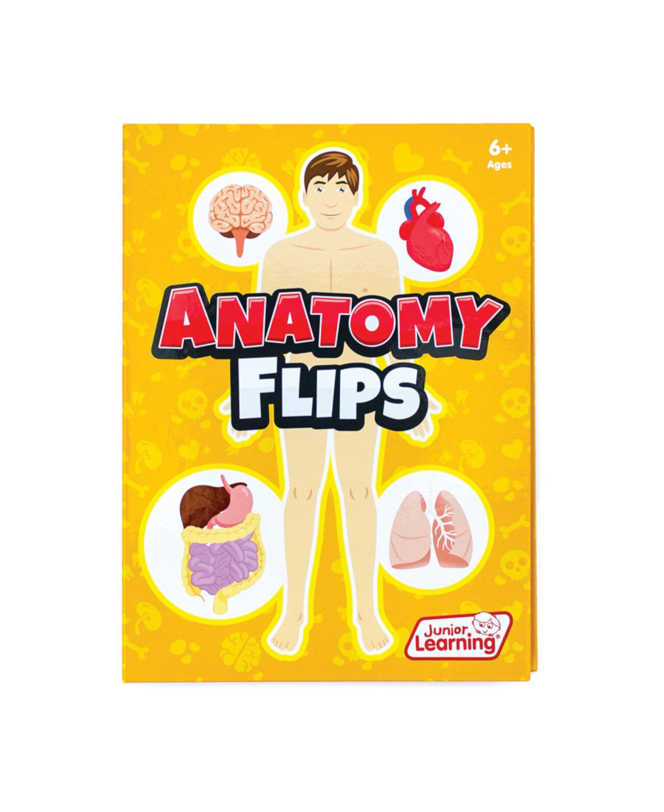 Обучающая книга Anatomy Flips Junior Learning
