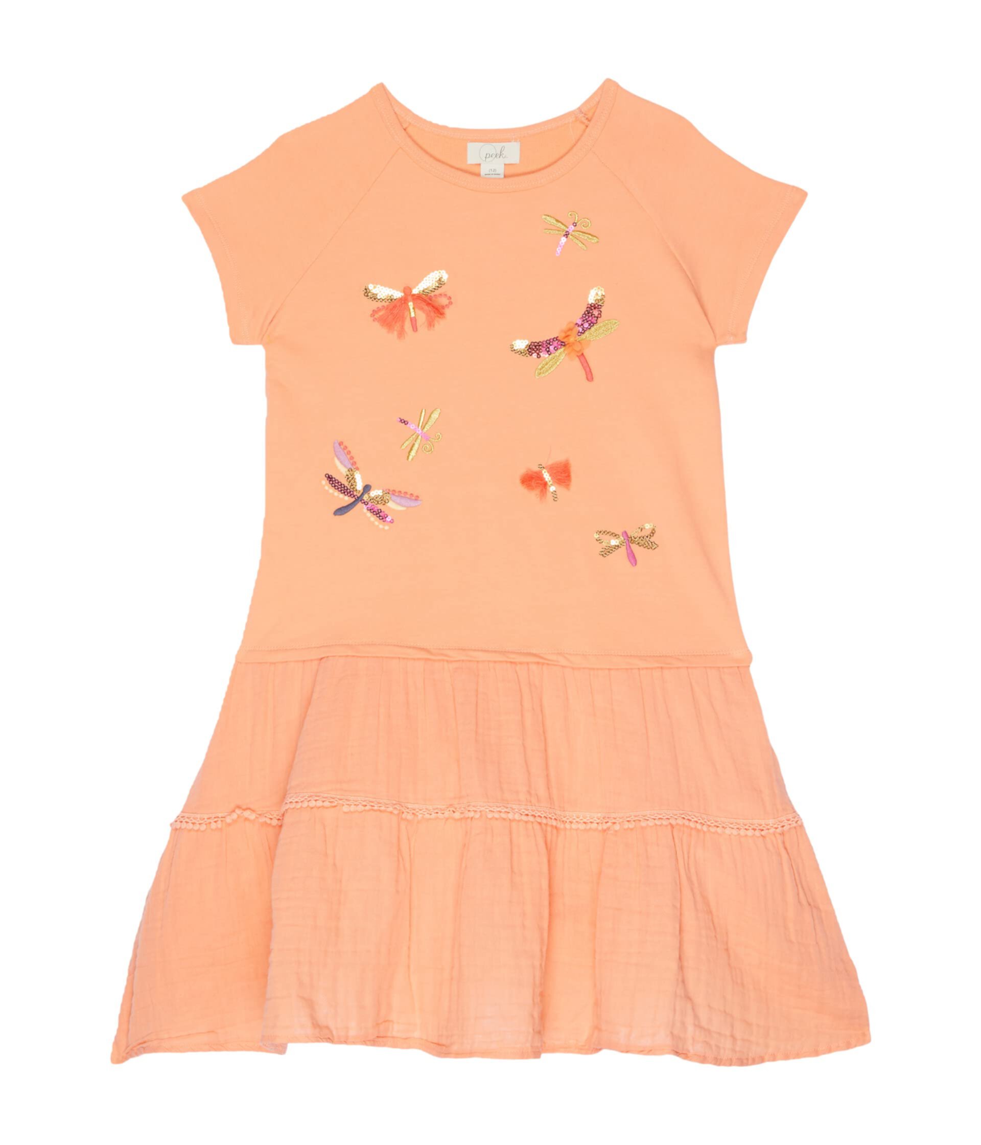 Lace & Embroidered Dress (Toddler/Little Kids/Big Kids) Peek