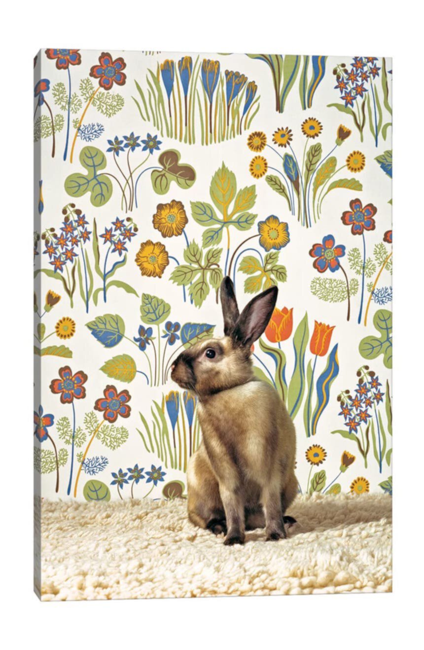 'Bunny' by Catherine Ledner Canvas Wall Art ICanvas