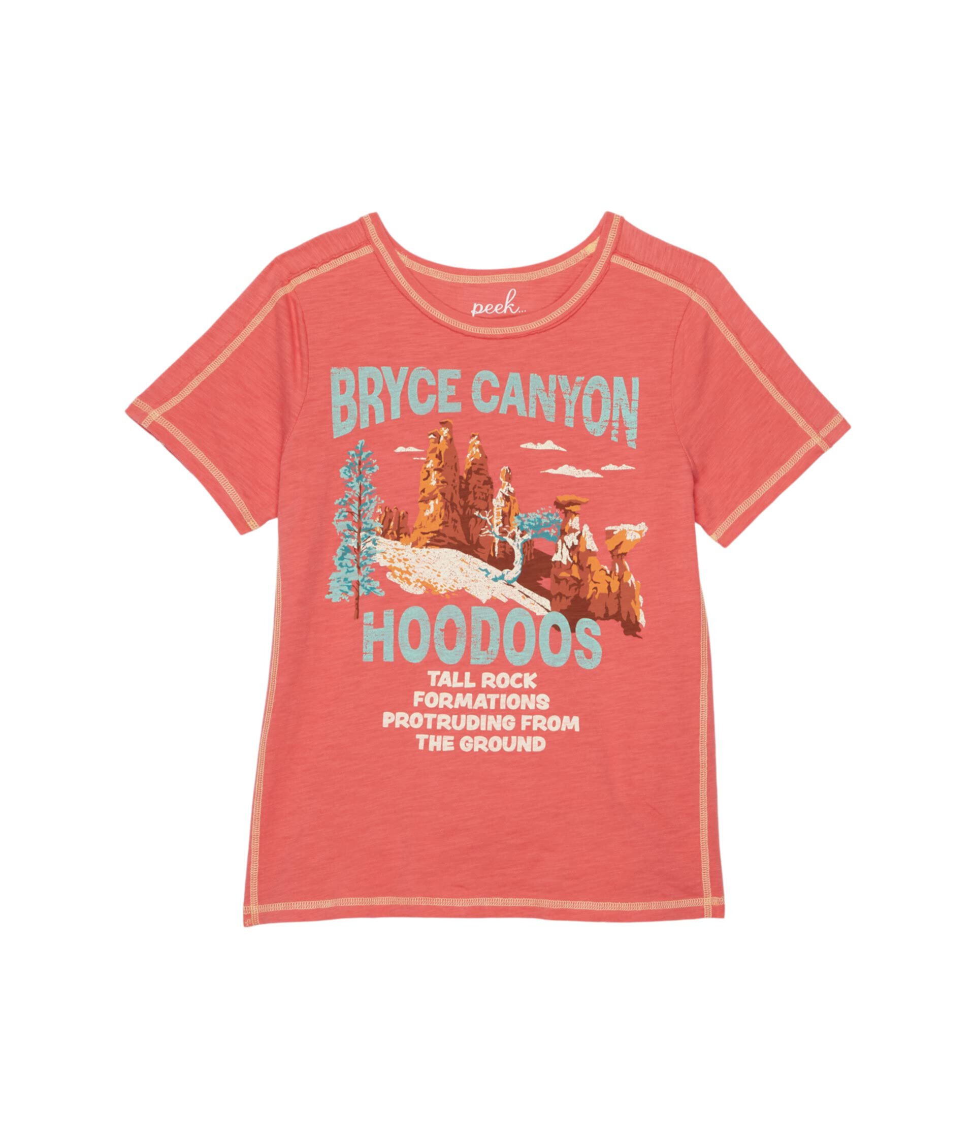Футболка Bryce Canyon Hoodoos (для малышей/маленьких детей/больших детей) PEEK