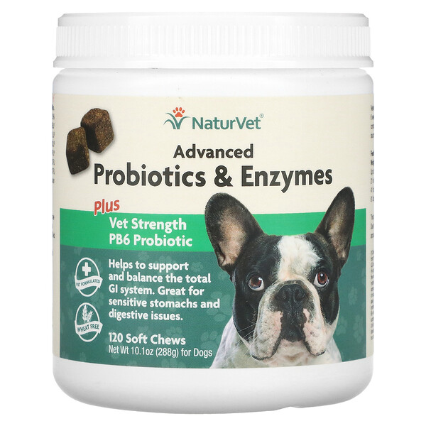 Advanced Probiotics & Enzymes, Plus Vet Strength PB6 Probiotic, для собак, 120 мягких жевательных таблеток NaturVet
