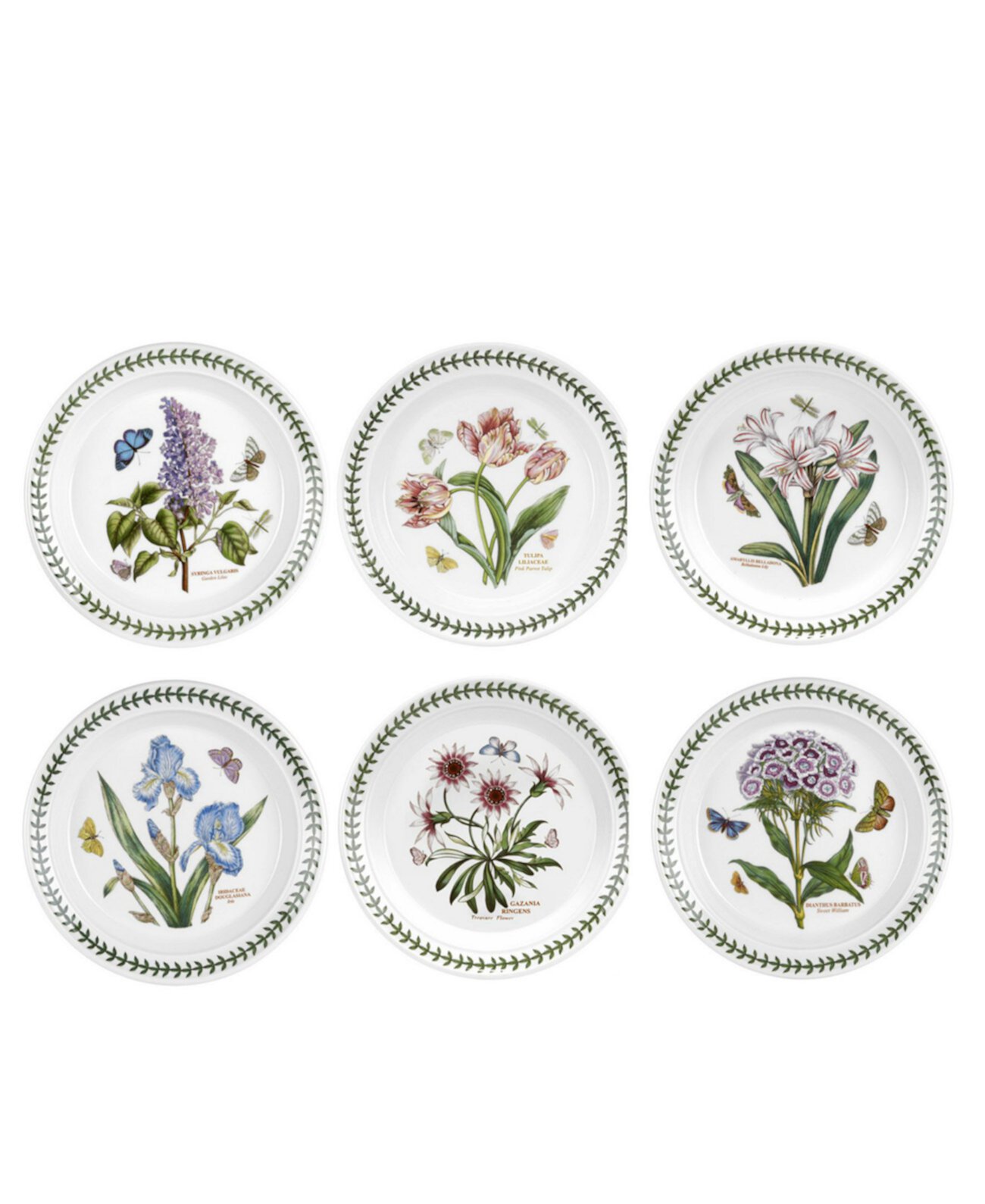 Салатная тарелка с мотивами Ботанического сада, набор из 6 шт. Portmeirion