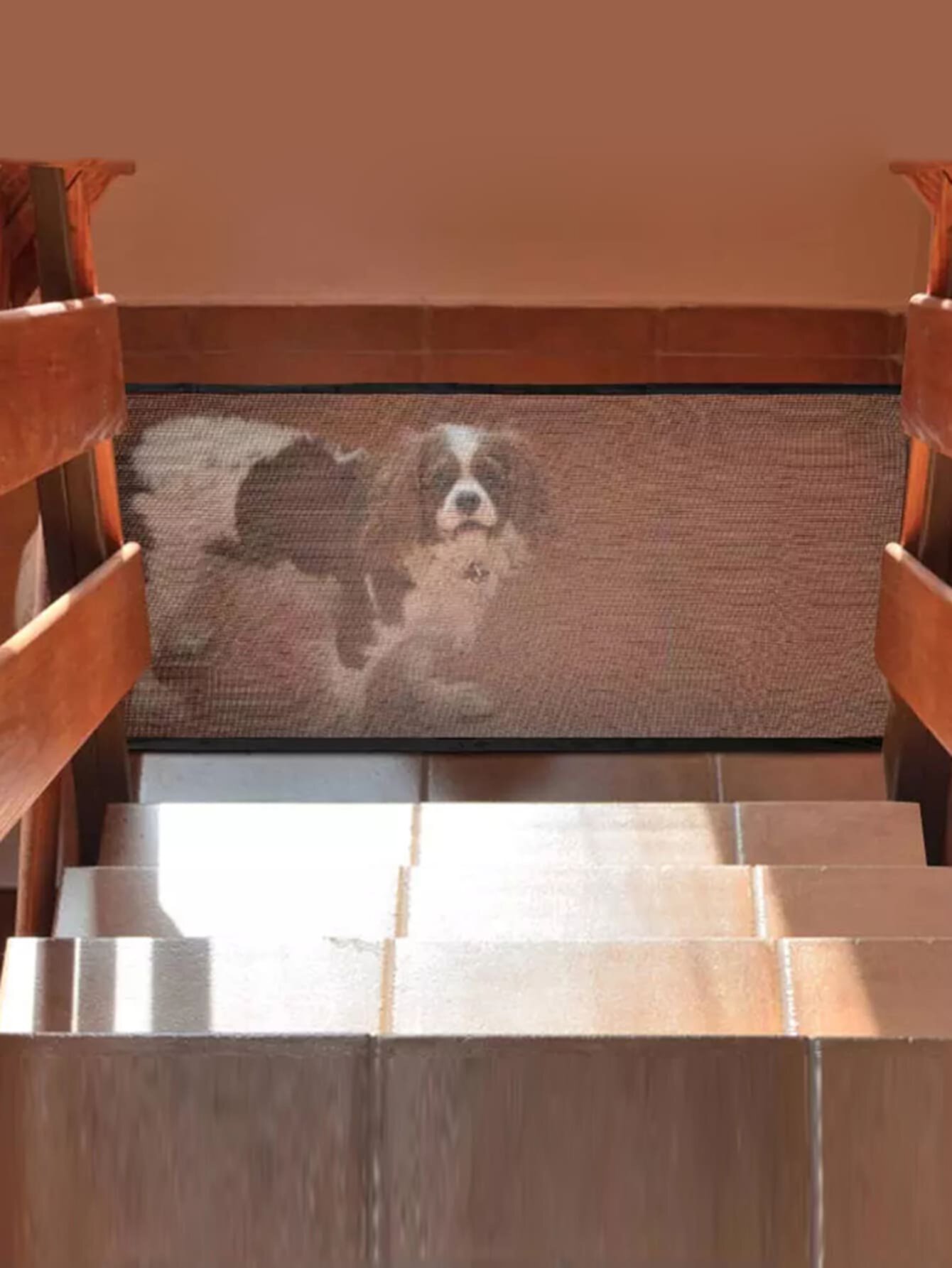 1шт Защитный забор для мебели для домашних животных SHEIN