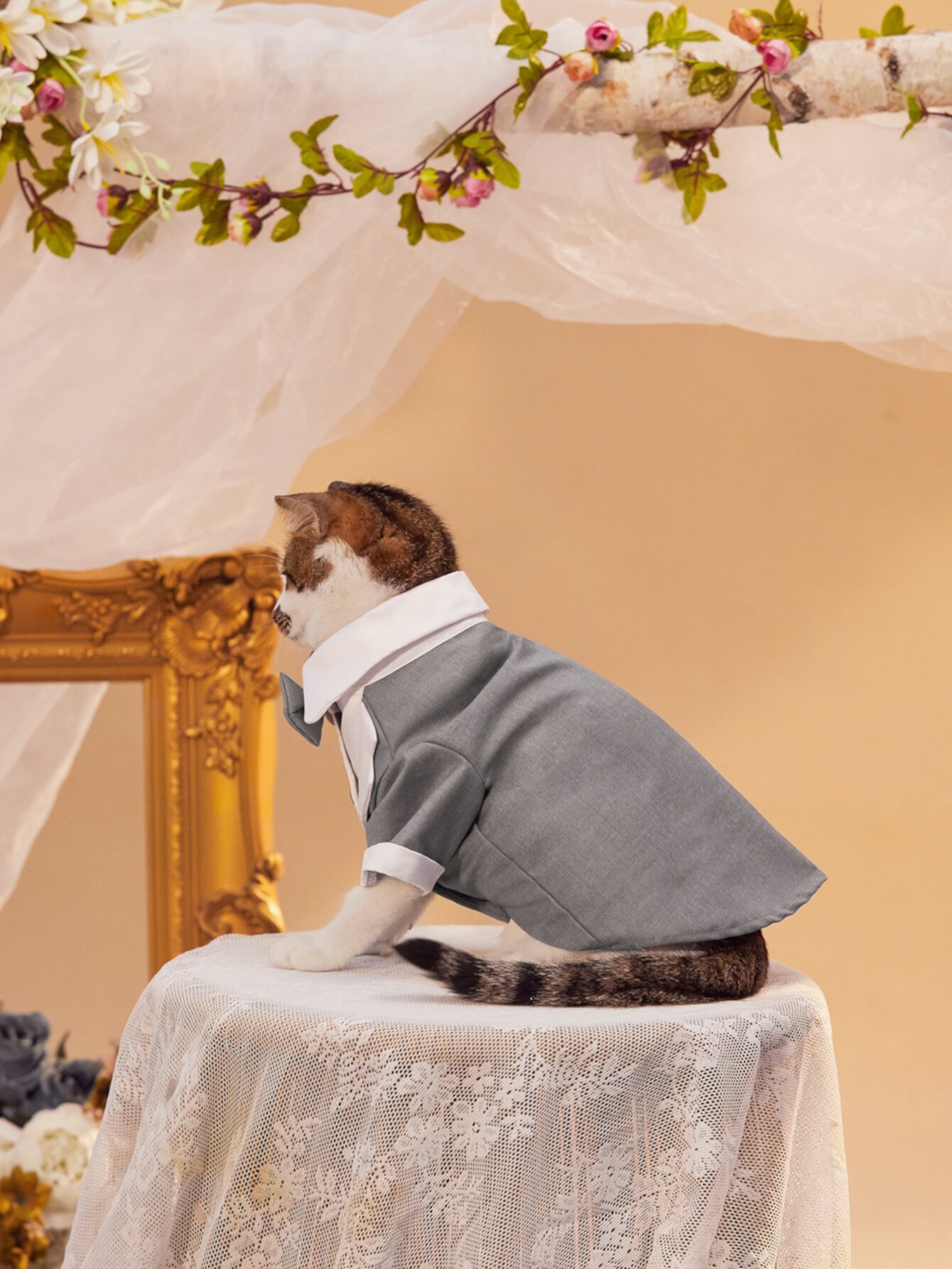 PETSIN Пальто для домашних животных с бантом с пуговицами PETSIN
