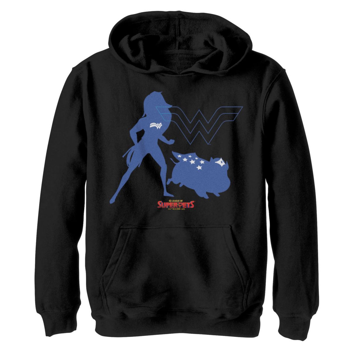 Джерси DC Comics Для мальчиков Wonder Duo Hoodie DC Comics