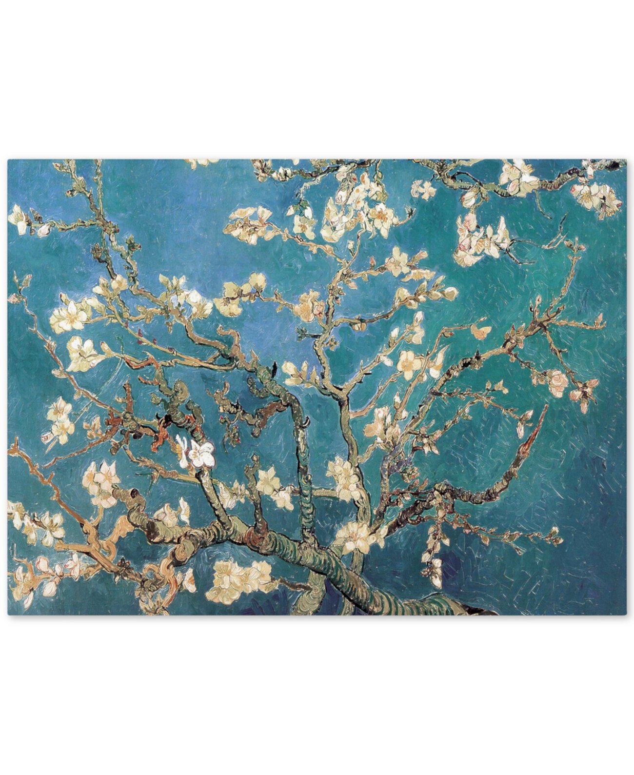 Картина на холсте Винсента Ван Гога "Цветы миндаля" - 47 "x 35" Trademark Global