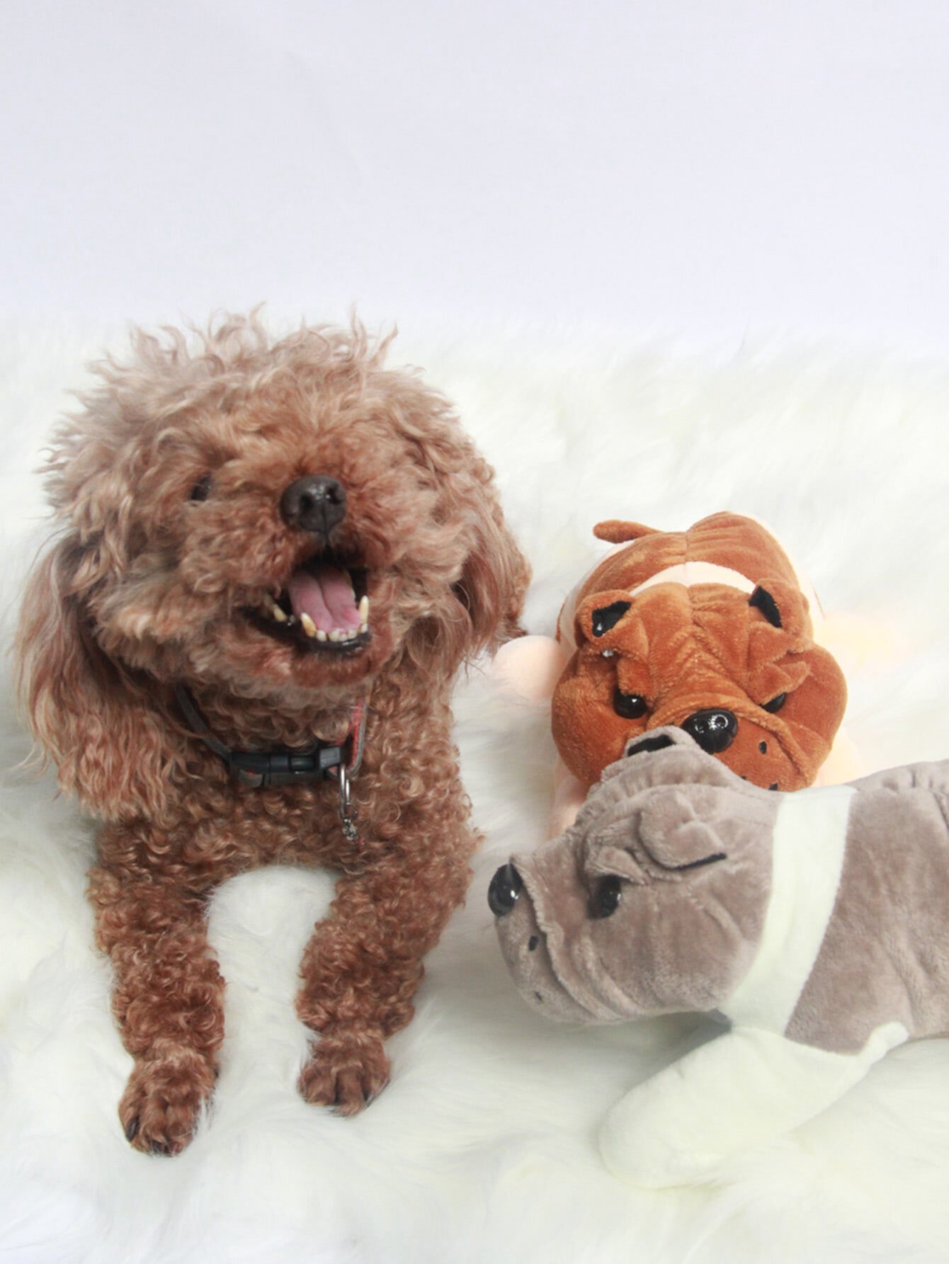 1шт Плюшевая игрушка для домашних животных случайного цвета с дизайном собаки SHEIN