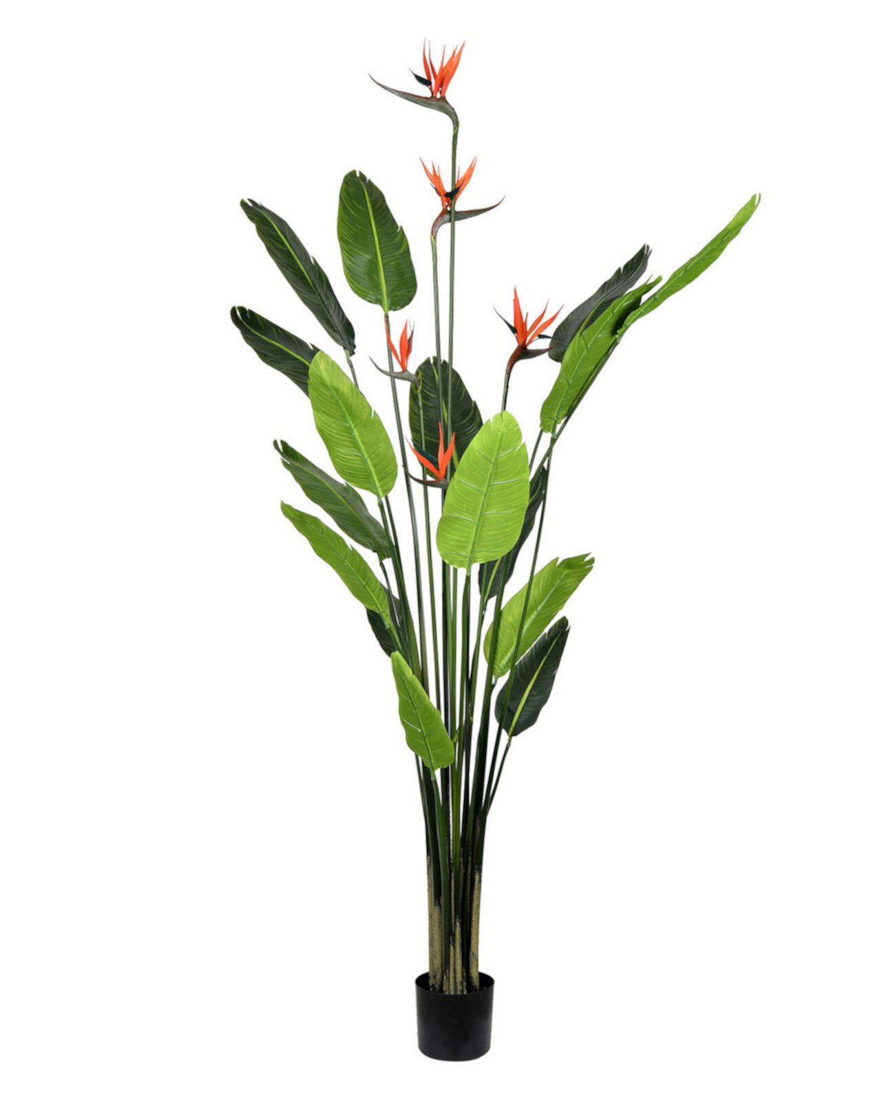 6' Artificial Potted Bird of Paradise Palm Tree Vickerman