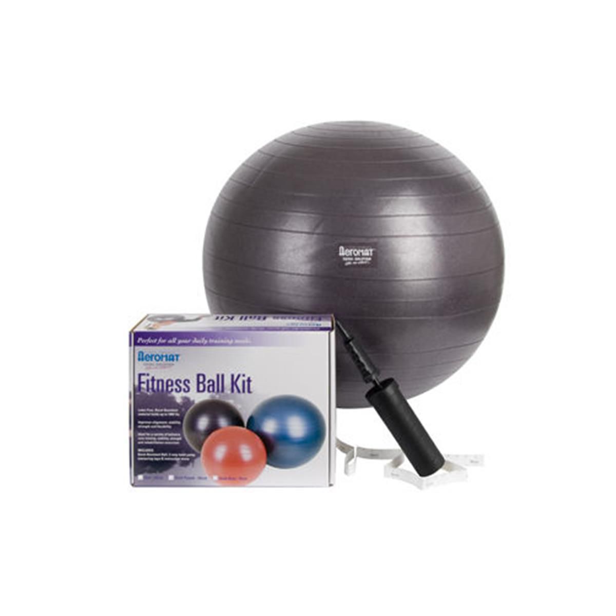 AGM Group 38112 Комплект мячей для фитнеса 65 см - темно-фиолетовый Agm Group