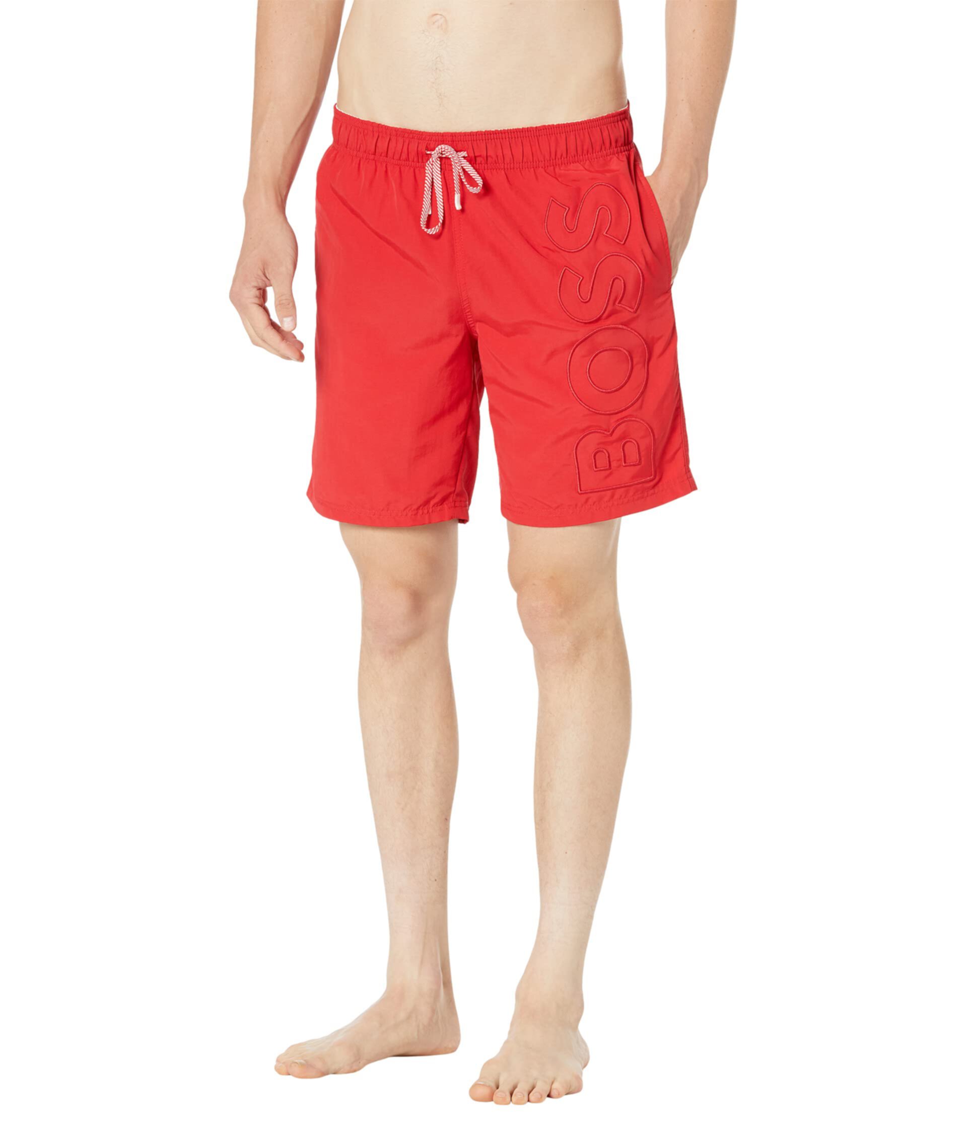 Whale Swim Shorts Boss