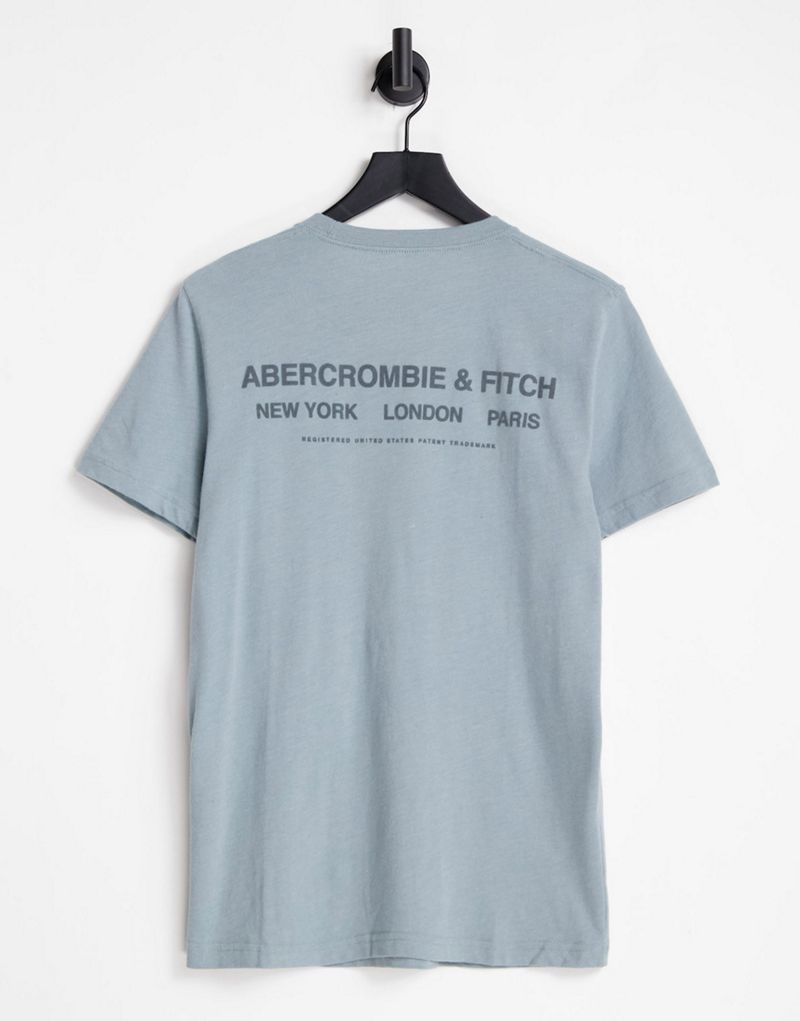 Голубая футболка с логотипом Abercrombie & Fitch Back City Abercrombie & Fitch