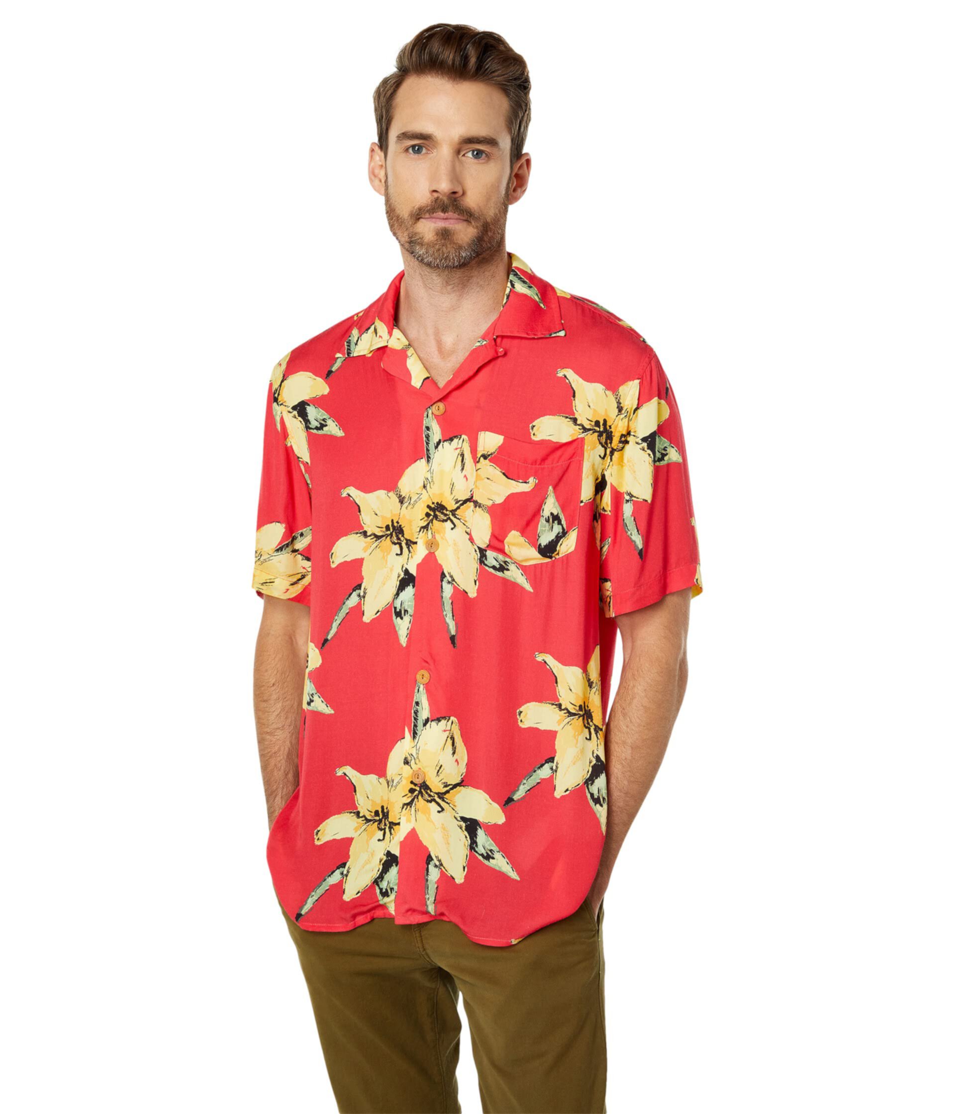 Havana Shirt DaVinci