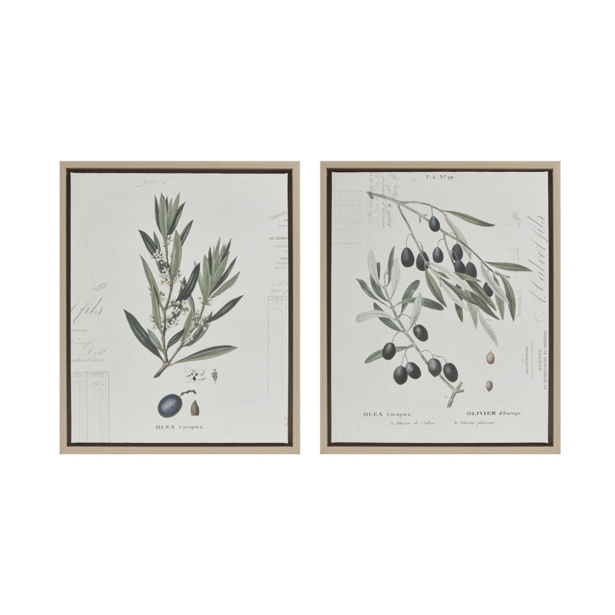 Madison Park Kalamata Branches Neutral Framed Canvas 2-Piece Set Madison Park