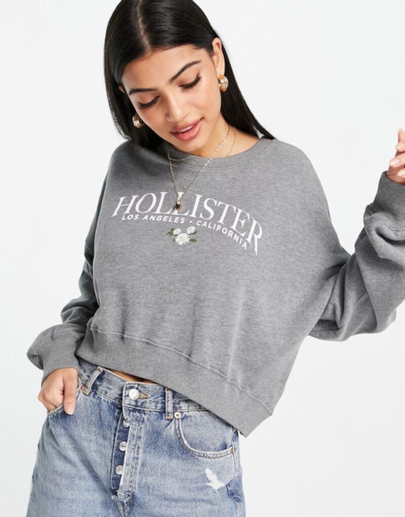 Серая толстовка с логотипом Hollister Hollister