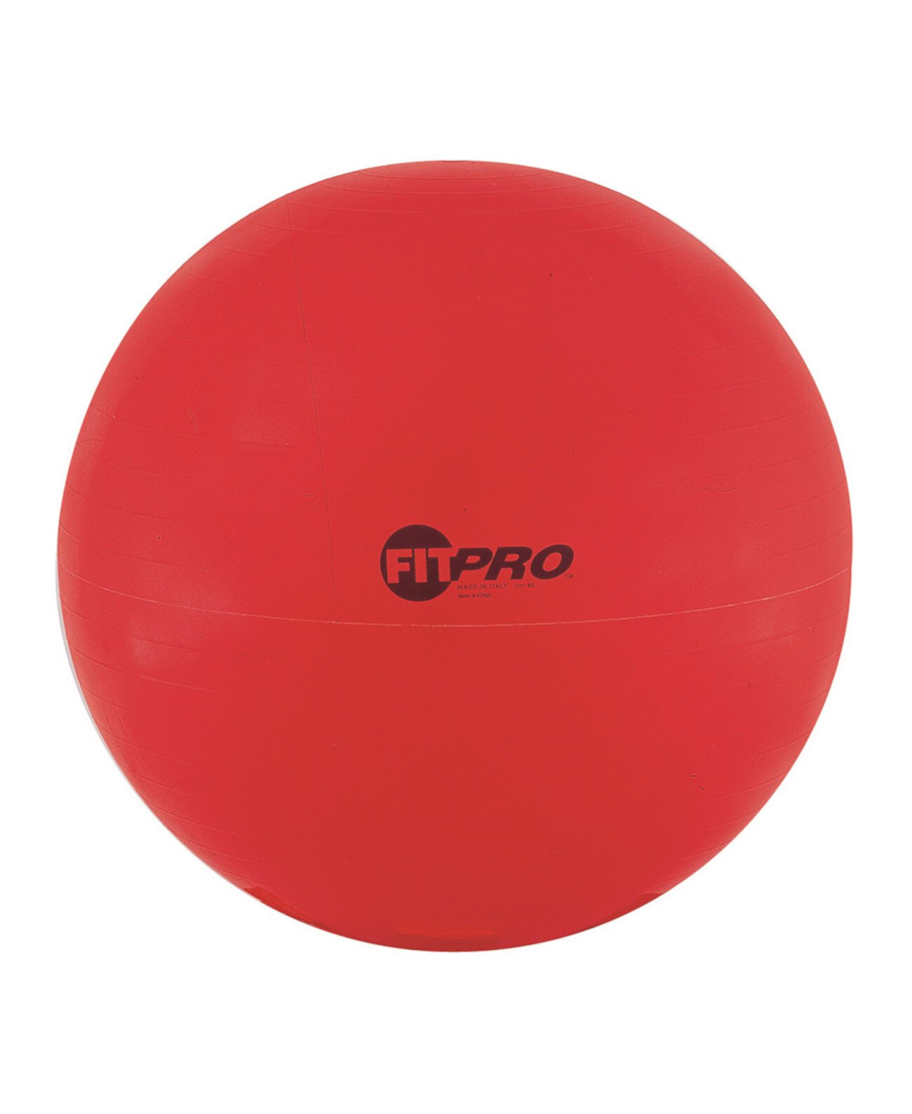 Мяч для тренировок Fitpro, 65 см Champion Sports