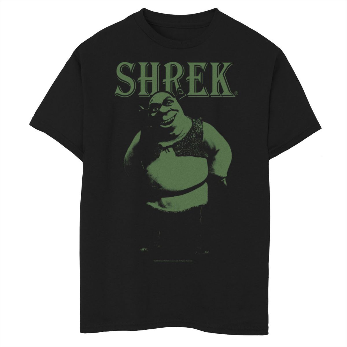 Джерси Dreamworks Для мальчиков Shrek Dark Portrait Graphic Tee Dreamworks