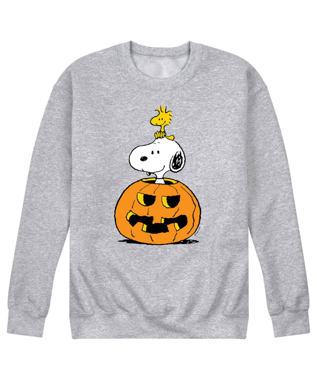 Мужская флисовая футболка Peanuts Snoopy Pumpkin AIRWAVES