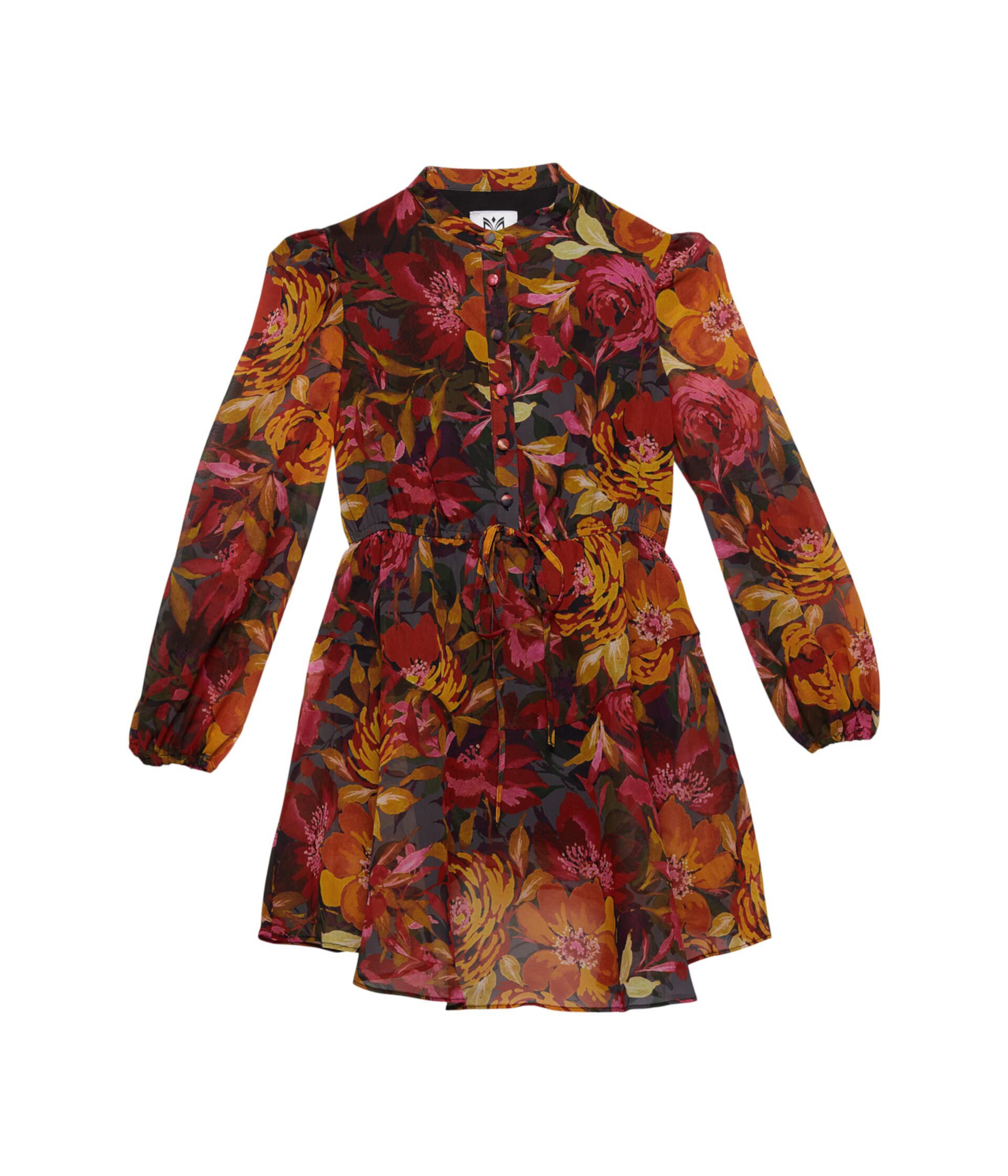 Reina Fall Foliage Dress (Big Kids) Milly Minis