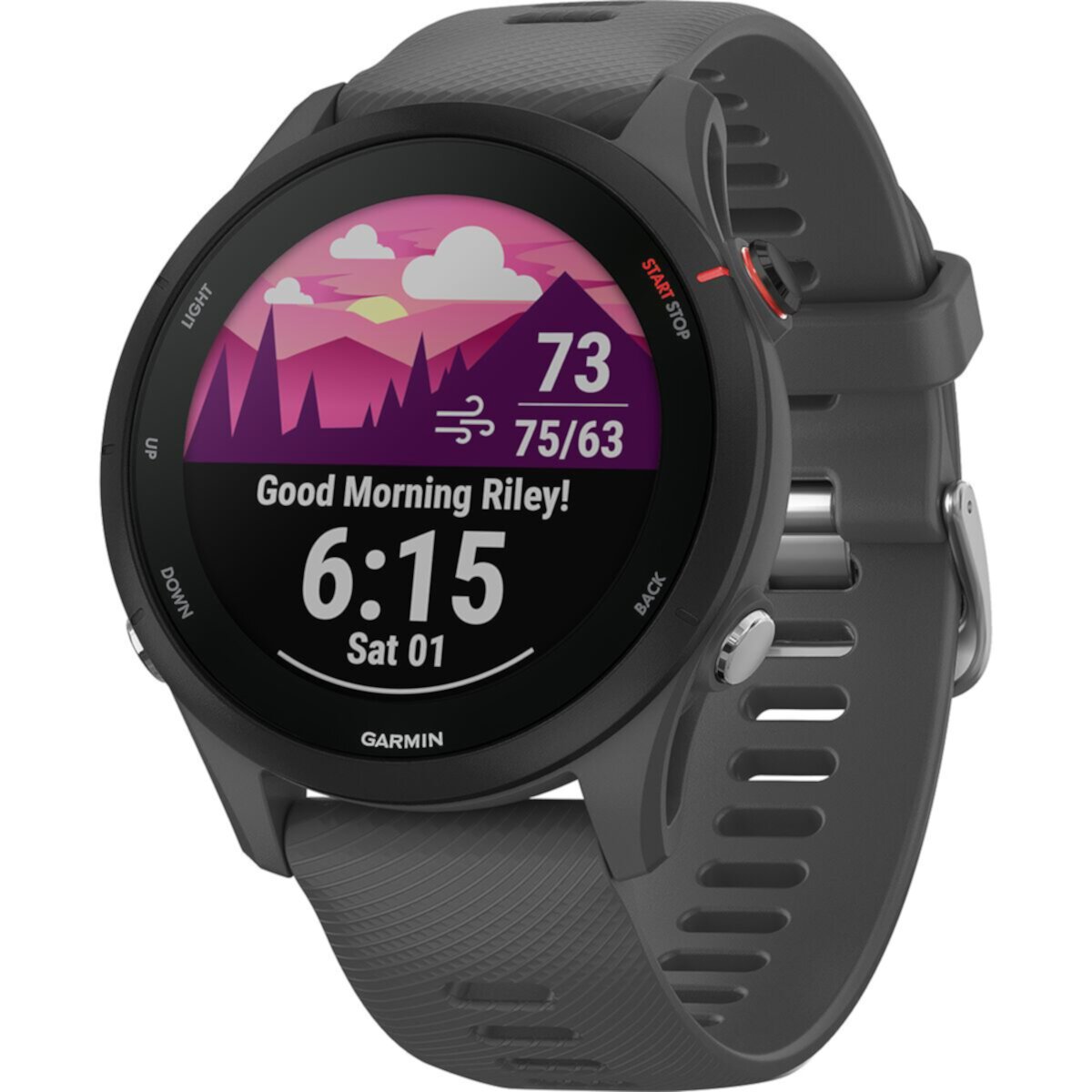 Смарт часы Garmin Forerunner 255 Garmin