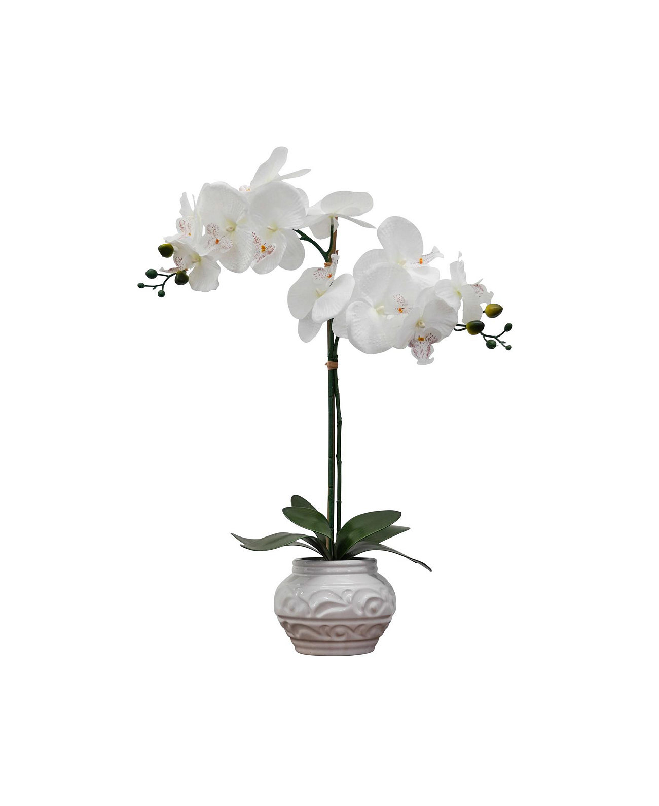 Desktop Artificial Orchid Arrangement in Ceramic, 22" Nature's Elements