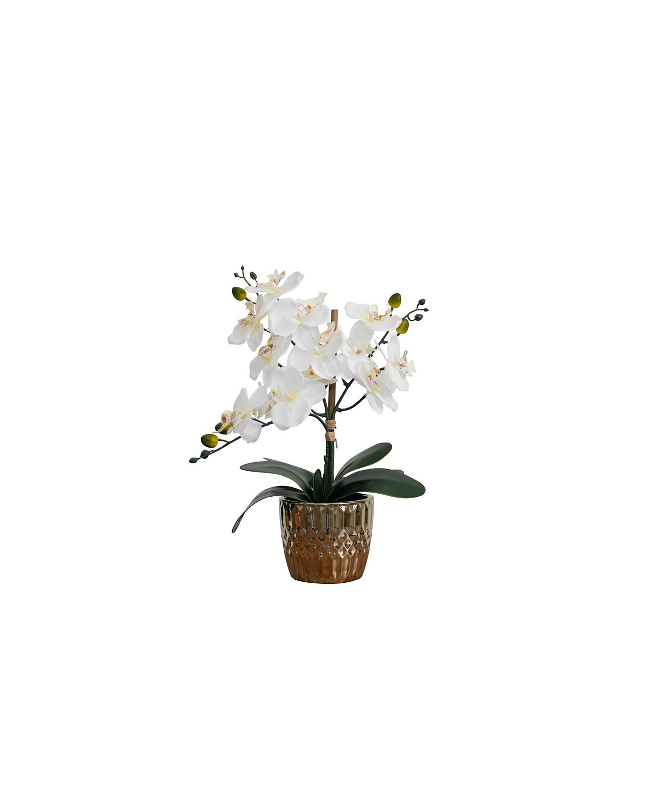 Desktop Artificial Orchid in Decorative Ceramic Vase, 16" Nature's Elements